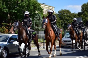 zdjęcie kolorowe: policjanci na koniach służbowych